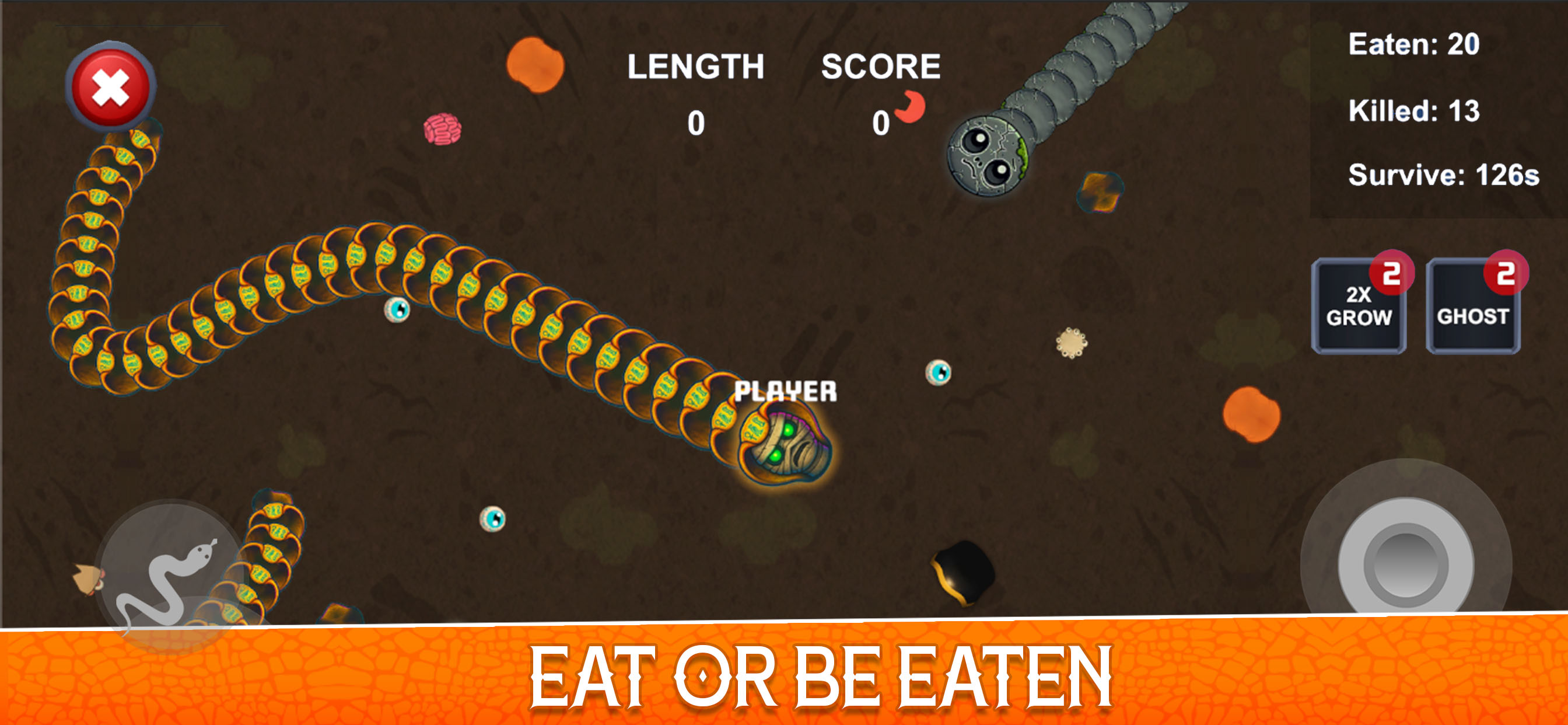 Zombie Snake Slither Worm Game