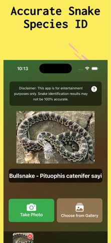 Snake Identifier : SnakeID App screenshot
