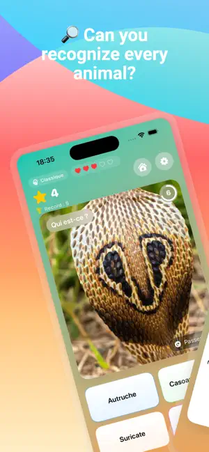 Zoom'Animaux screenshot 3