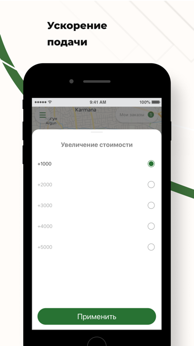 TaxiGo 1177 Screenshot