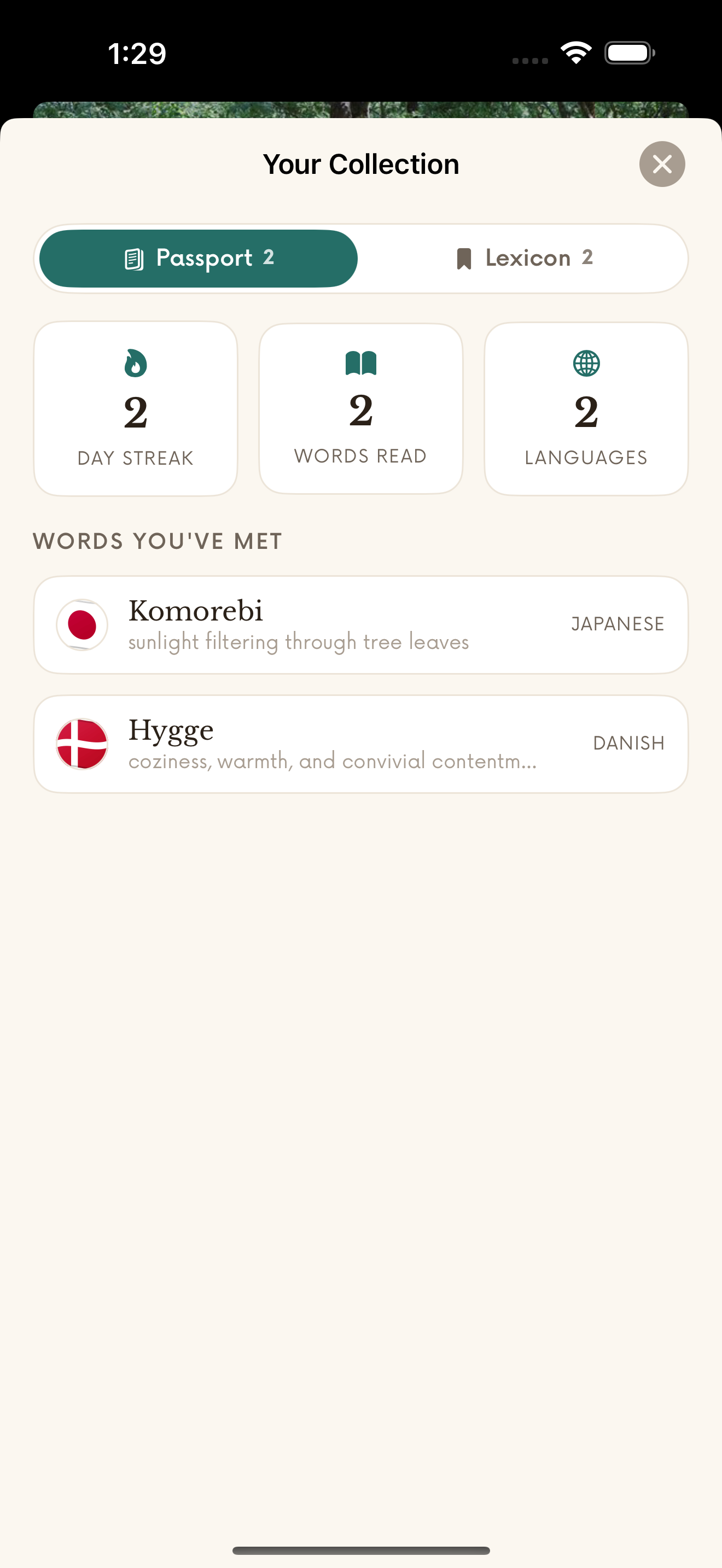 Untranslatable screenshot 5
