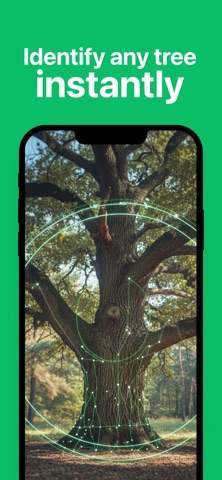 Tree Identifier: ArborAI Screenshot 1 of 5
