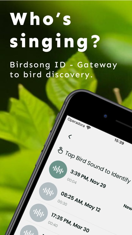 Bird Sound Identifier Song ID