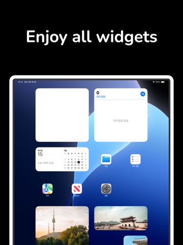 One Photo Widget iPad screenshot