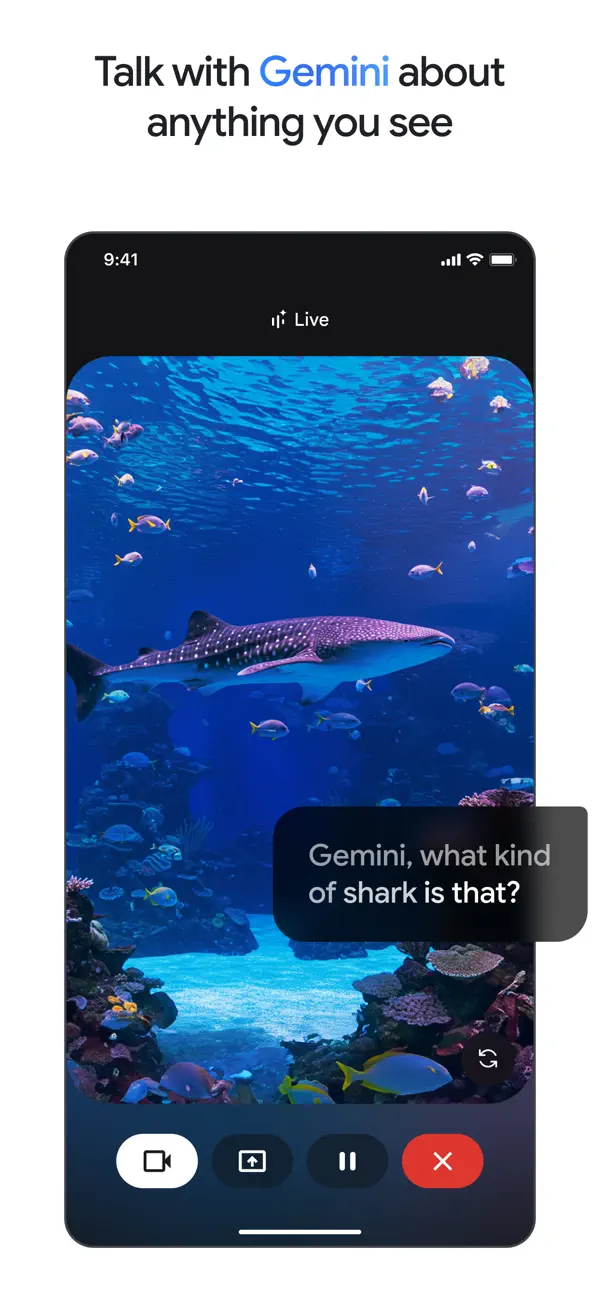 #3. Google Gemini (iOS) Door: Google