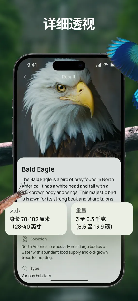 Bird Identifier & Guide screenshot 2