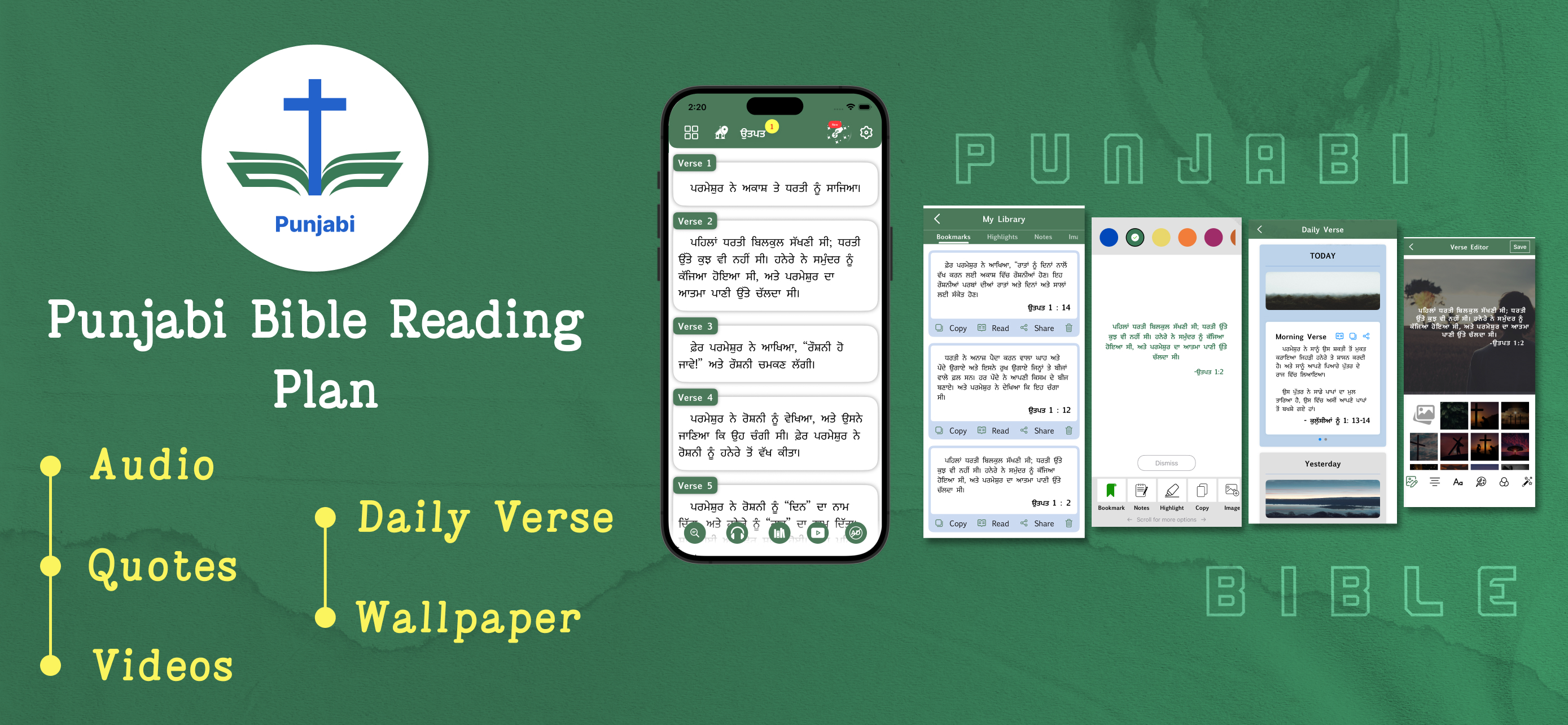 Punjabi Bible - Offline