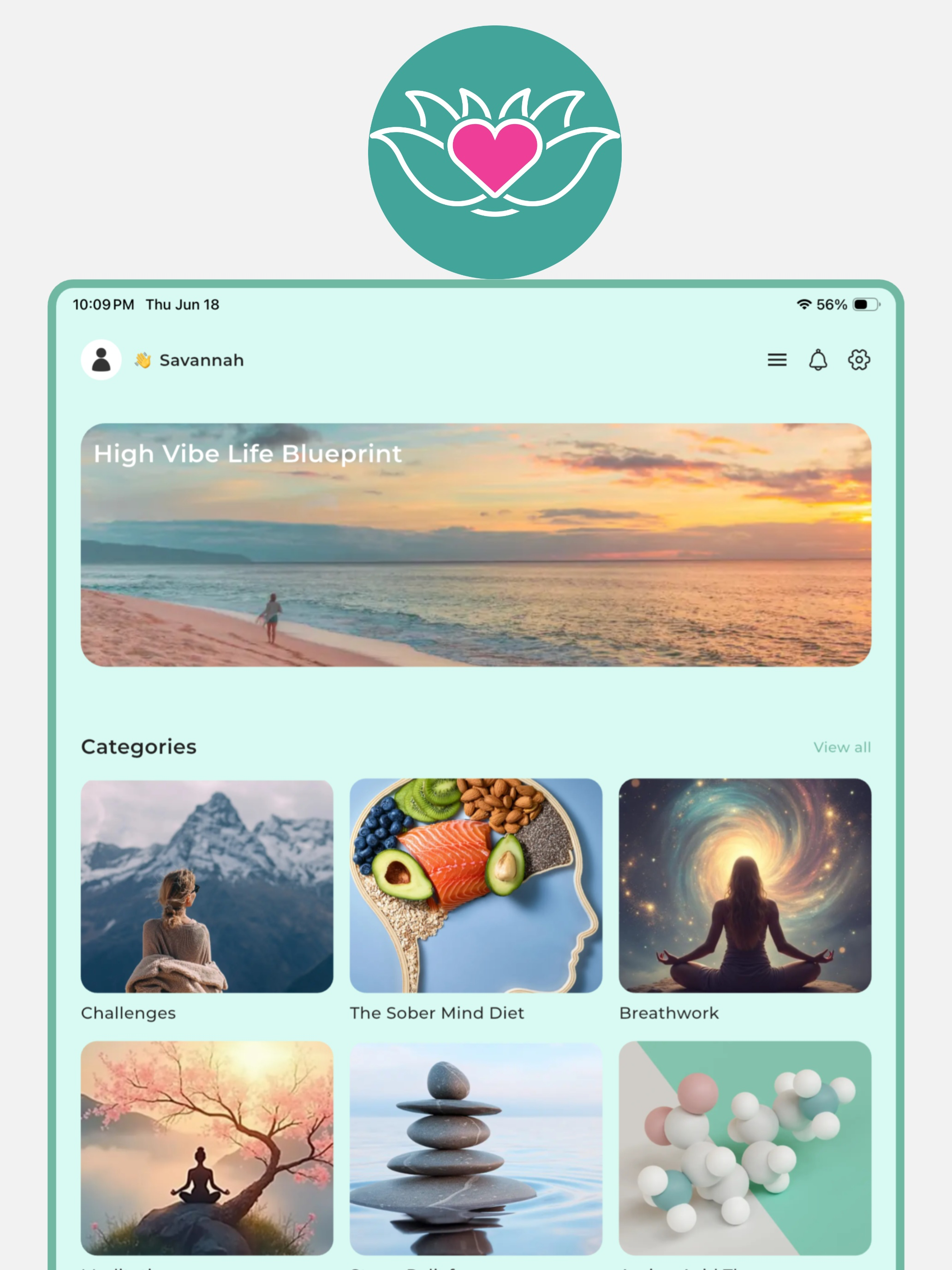 High Vibe Life App