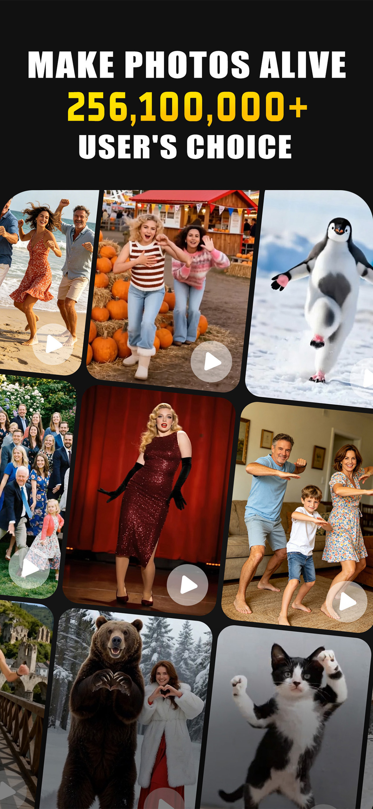 Animator - AI photo dance