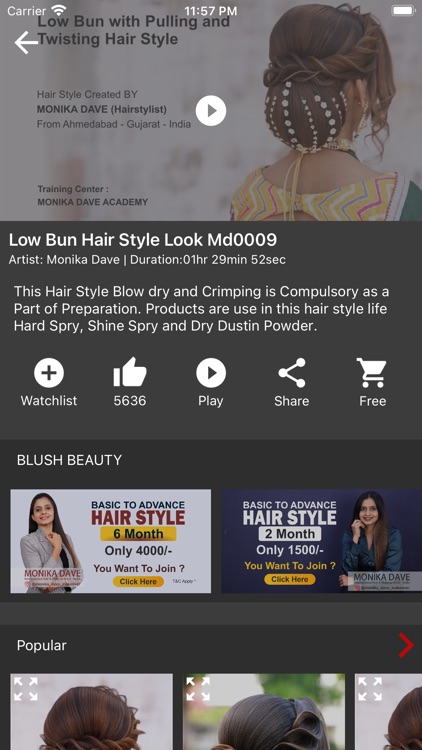 Blush Beauty - Hair Style