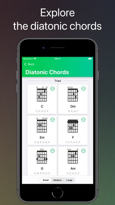 ChordShapes : Guitar Chords Screenshot