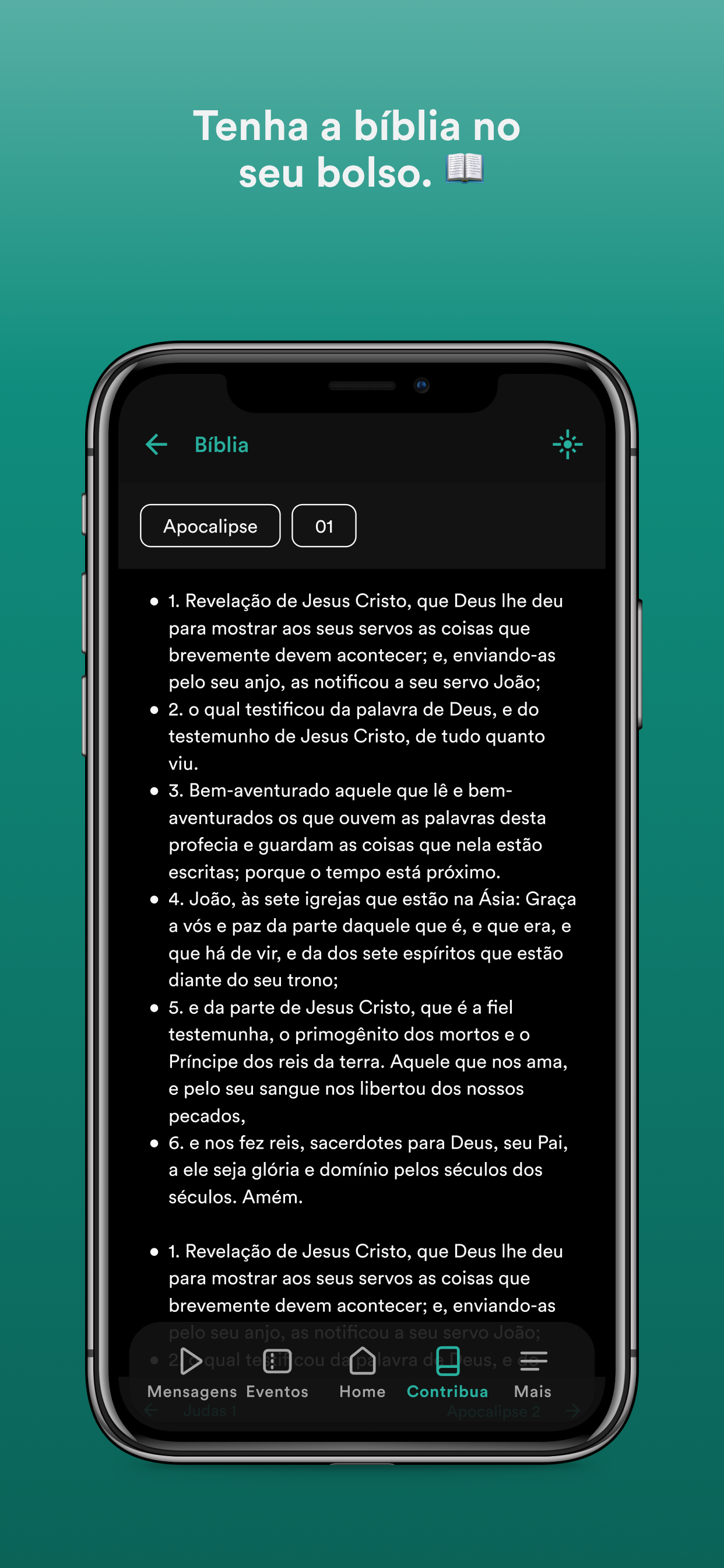 Pib Bac screenshot 3