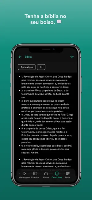 Pib Bac screenshot 3