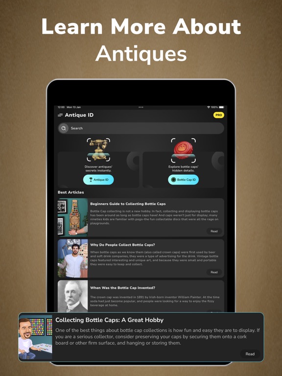 Antique Identifier Value Scan iPad screenshot 4 - Reference app