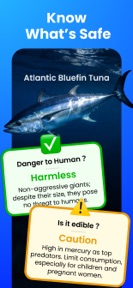 AI Fish Identifier by Picture screenshot