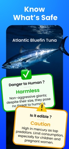 AI Fish Identifier by Picture iPhone screenshot
