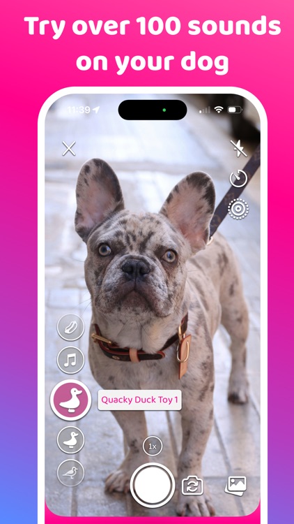 Dog Scanner & Sounds: DogCam screenshot-3