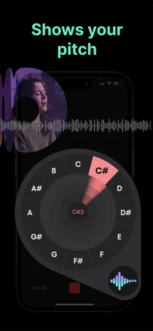 Dubnote: Music Recorder screenshot 2