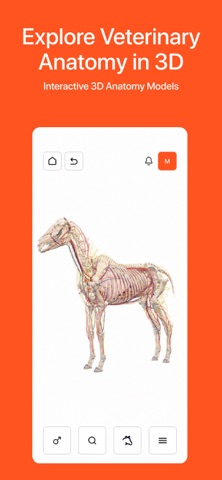 Vetty 3D app Screenshot 1 of 7