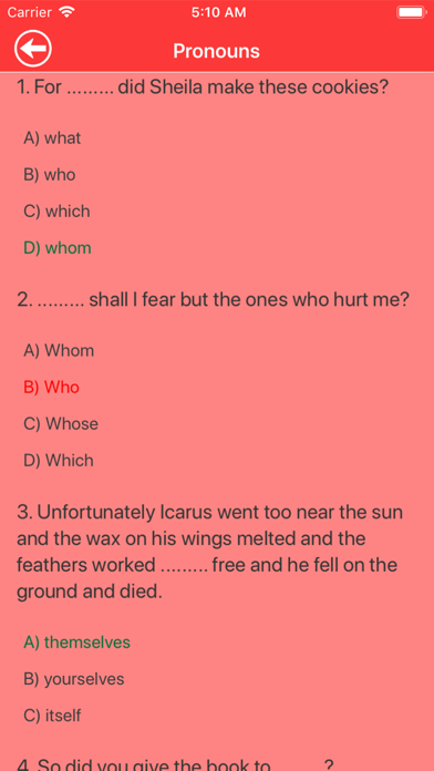 Elementary English Grammar Screenshot