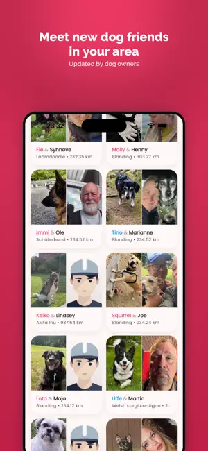 GoDusty screenshot 3