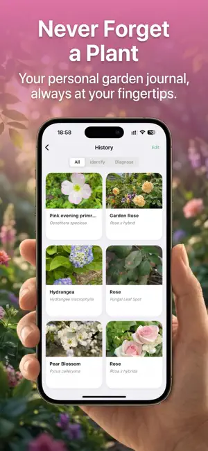 Flora Snap: Flower Identifier screenshot 4