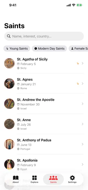 Confirmation Saints screenshot 2