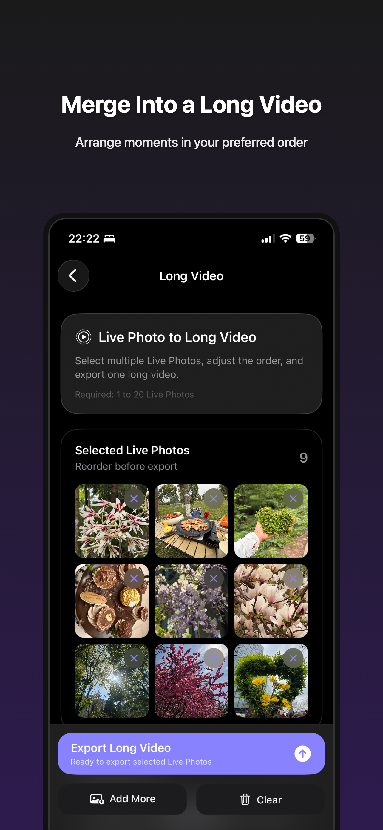 LiveCollage: Live Photo Video