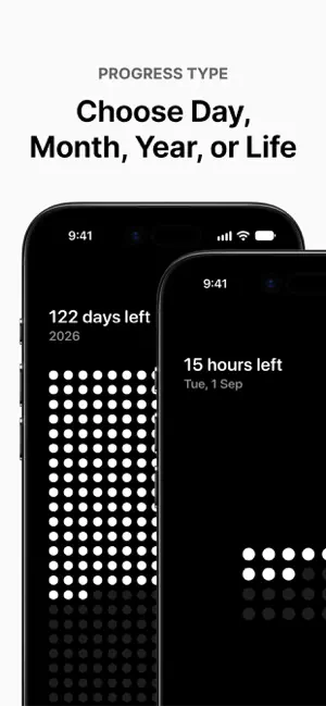 Life Dots: Visualize Time screenshot 2