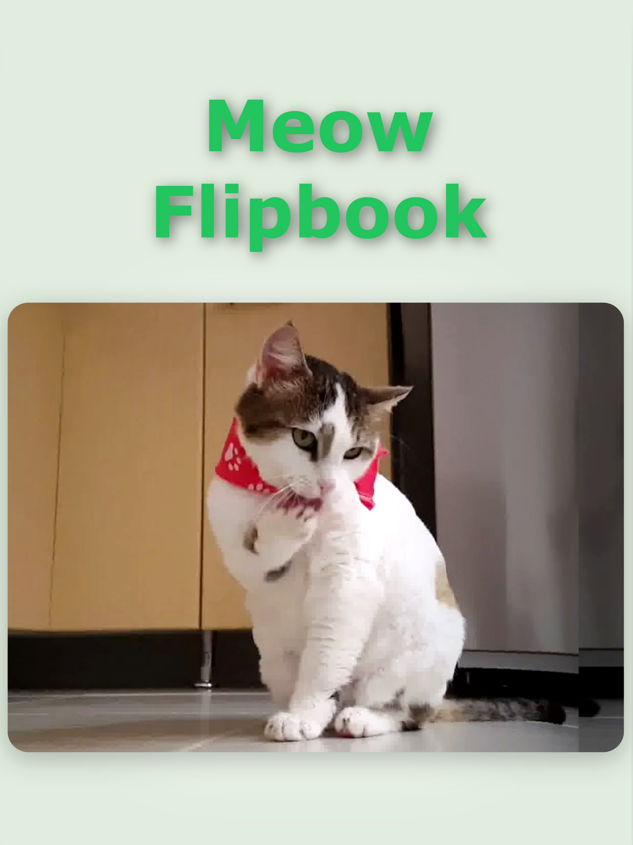 Meow Flipbook screenshot 12