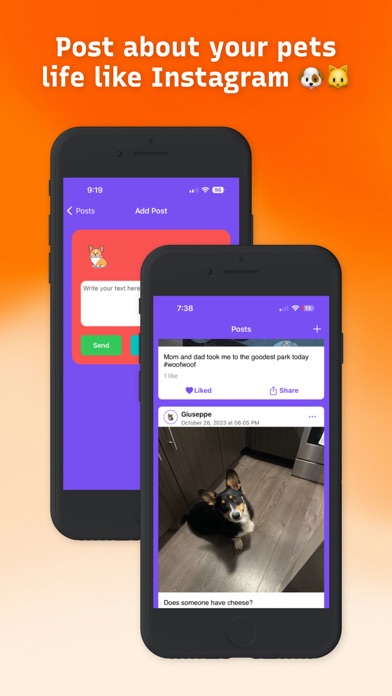 AstroPaws: The Pet App Screenshot