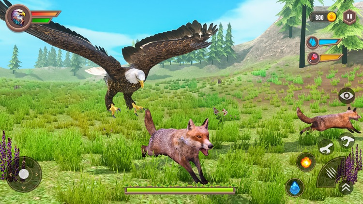 Real Eagle Simulator Bird Game