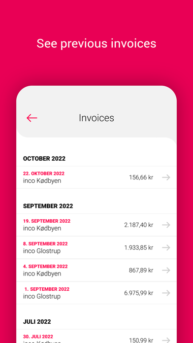inco Cash & Carry Screenshot