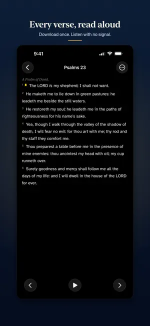 KJV Only Bible screenshot 2