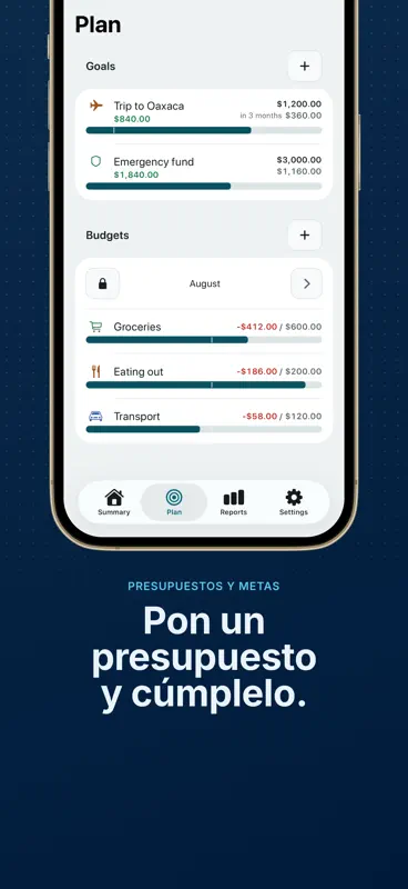 Organizador de Gastos Bolsillo screenshot 5 of 9