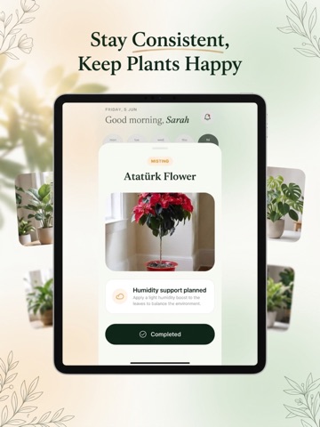 Plant Identifier & Care: Flori iPad screenshot