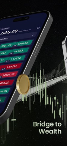 Bridge Funded screenshot