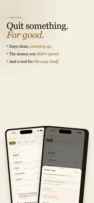 tadoy. Quiet Daily Journal screenshot 4