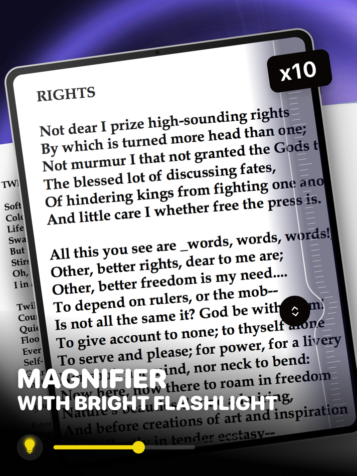 #1. Magnifying Glass * Flashlight (iOS) 게시자: ANNA KOSHEL