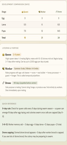 Bee Life-Cycle Calculator screenshot