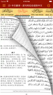 quran chinese translation iphone screenshot 2