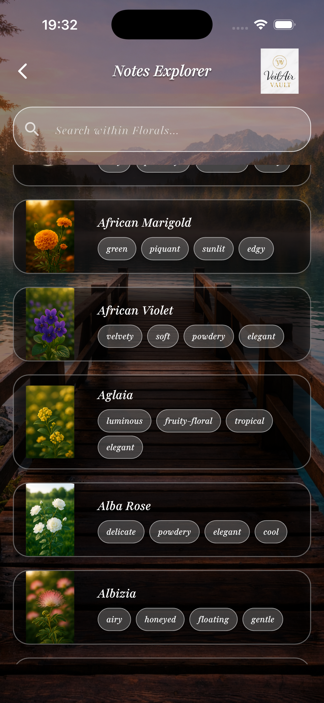 VeilAir Vault screenshot 8