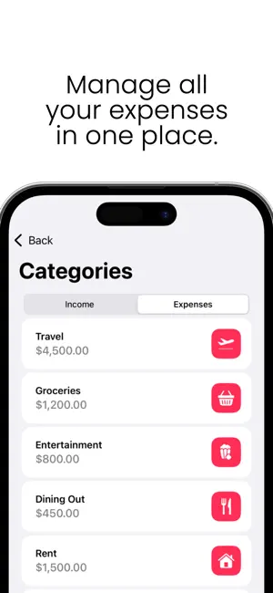 iFint – Money Manager & Budget screenshot 4