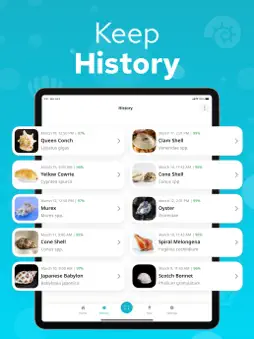 Seashell Identifier – Shellium screenshot 13
