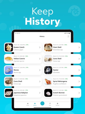 Seashell Identifier – Shellium iPad screenshot