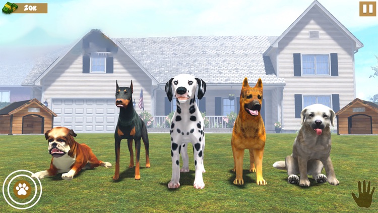 Animal Shelter Dog Simulator