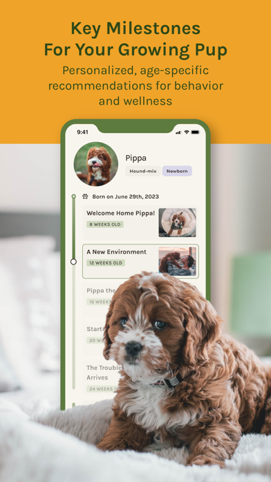 Gentle Beast - Puppy Training Screenshot