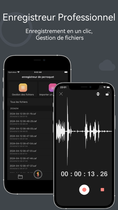 Screenshot #3 pour Dictaphone Audio Recorder