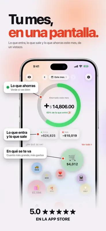 Countey: Gastos y Ahorro IA screenshot 2 of 9