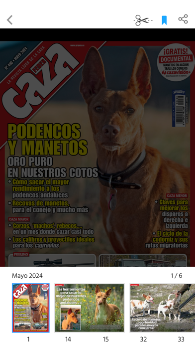 Feder caza revista